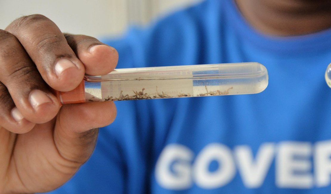 Ministério da Saúde aponta queda de 58% nos casos de dengue em Alagoas