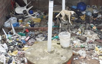 Moradores de Folha Miúda denunciam acúmulo de lixo e maus tratos a animal