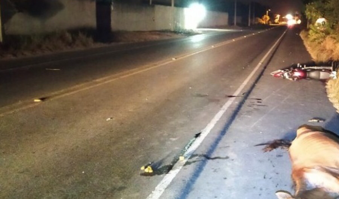 Motorista fica ferido e cavalo morre em acidente, em Arapiraca