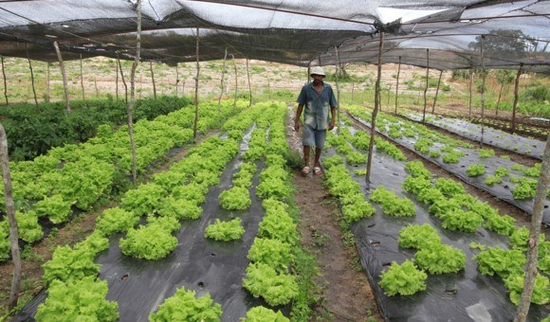 Agricultores de Arapiraca e região serão beneficiados com rodada de negociações
