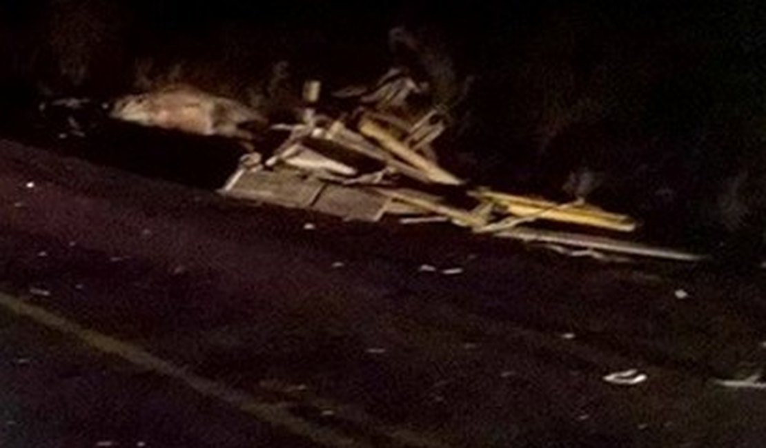 Acidente entre Hilux, moto e carroça de burro deixa uma pessoa morta em Delmiro Gouveia