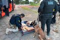 Passageiro de ônibus interestadual é preso com 31,4 kg de maconha na BR-101 em São Sebastião