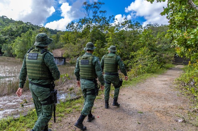 Polícia Militar resgata jaguatirica em área urbana no município de Penedo