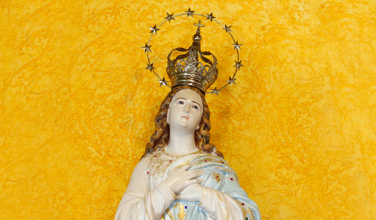 Nossa Senhora da Imaculada Conceição, Luz e Pureza Divina
