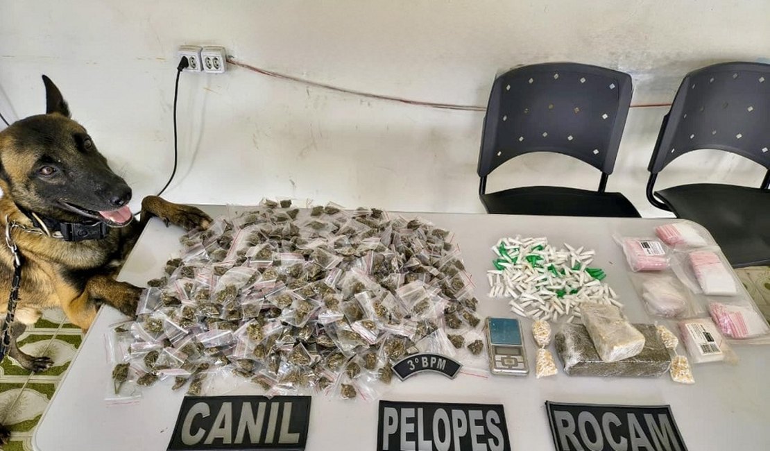 PM apreende 38 armas de fogo e mais de 665 Kg de drogas na última semana em Alagoas