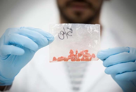 Polícia prende 26 que vendiam drogas em festas universitárias