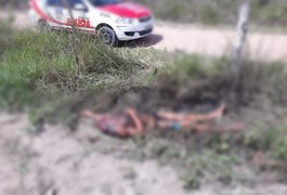 Corpo de homem decapitado é encontrado em terreno, no Agreste