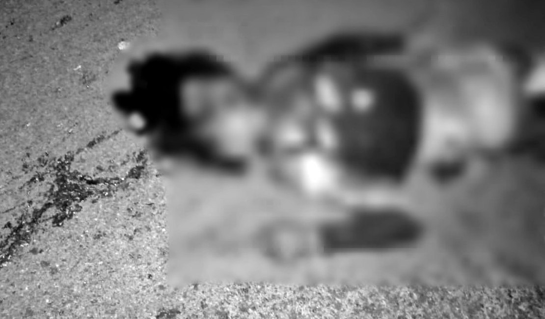 Motociclista morre esmagado por veículo após colisão com animal na pista