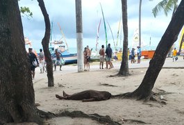Homem é morto a tiros na orla da Pajuçara em Maceió