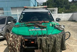 PM apreende armas, materiais de caça e pássaros silvestres em operação na Zona da Mata