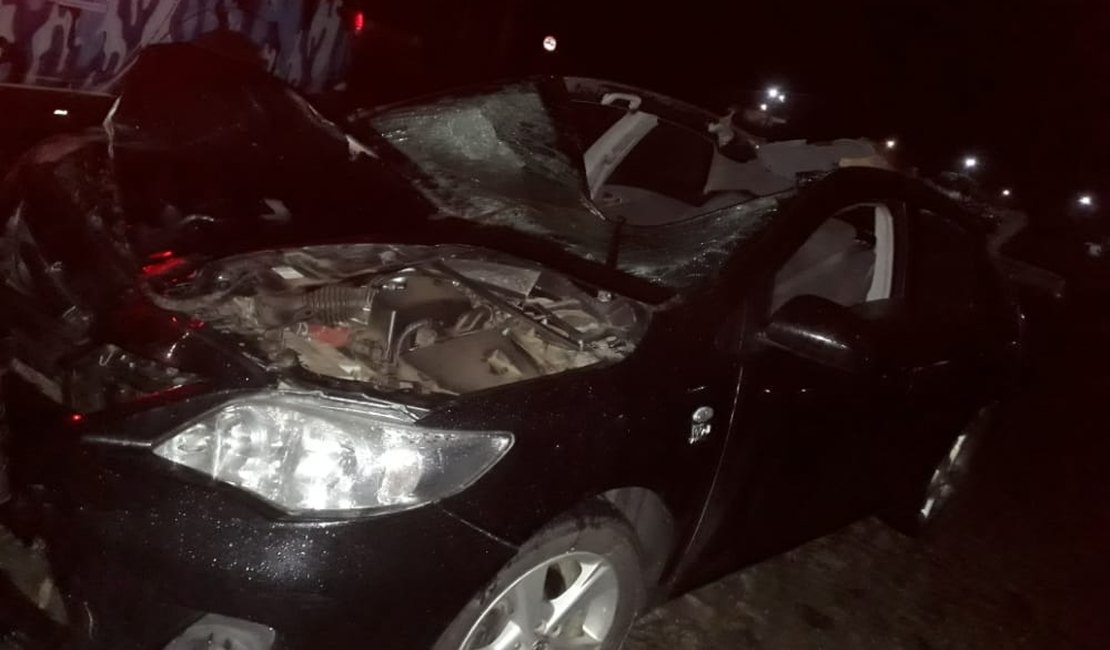 Motorista atinge cavalo solto na pista e fica ferido em São José da Laje