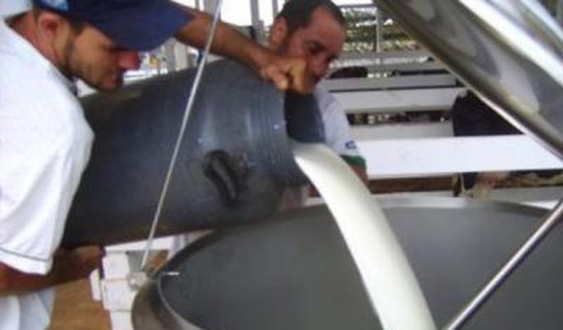 Produtores de leite terão financiamento de até R$ 15 mil para renovação do rebanho