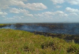 VÍDEO: Fogo atinge extensa área de vegetação na Zona Rural de Limoeiro de Anadia