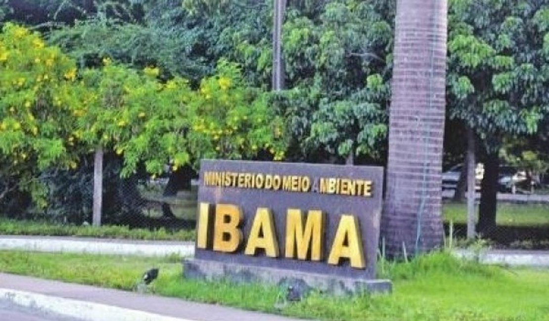 Concurso do IBAMA terá 847 vagas para nível médio em análise