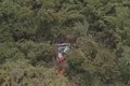 Três pessoas morrem em queda de aeronave em área de mata fechada