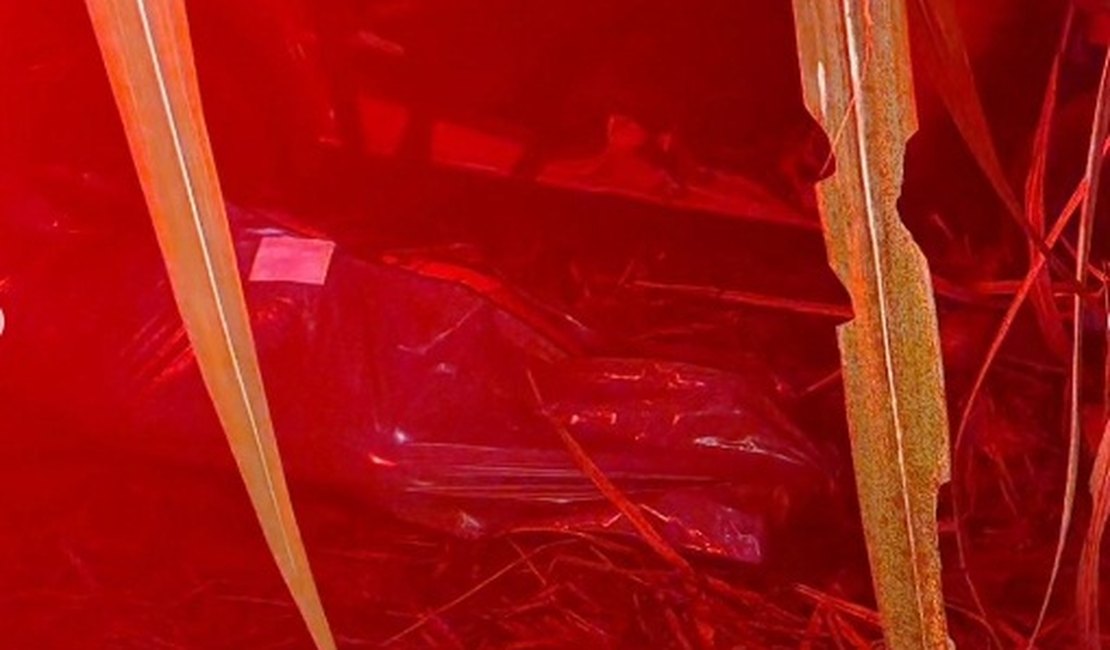 Após atropelar jovens, condutor foge colide carro em árvore e carona morre, no interior alagoano