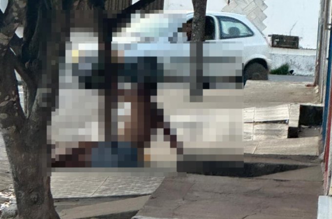 Homem em surto psicótico é amarrado em árvore pelo pai no bairro Primavera, em Arapiraca