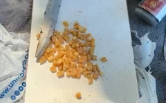 Drogas apreendidas em Maceió