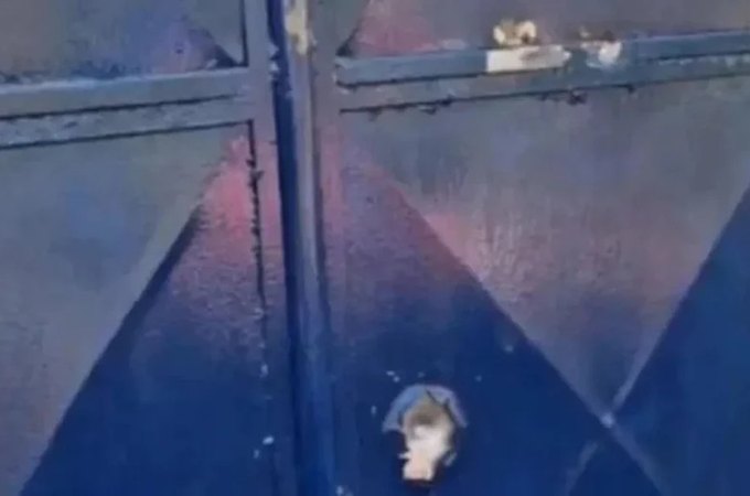 Escola indígena é alvo de tiros em Palmeira dos Índios; Funai aciona PF