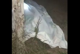 Mulher é encontrada morta em entrada de fazenda, em Junqueiro