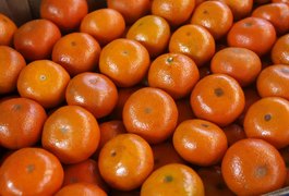 Conheça cinco frutas saciantes para ter sempre na marmita