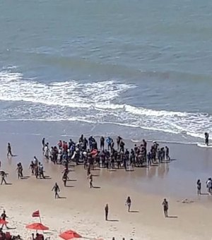 Vídeo. Homem é socorrido após ser atacado por tubarão na praia de Piedade, em Jaboatão dos Guararapes