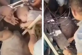 Mãe e bebê são encontrados vivos sob escombros após terremoto na Colômbia