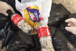 Fiscais encontram irregularidades em unidades de saúde de 12 municípios, em AL