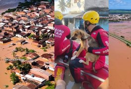 VÍDEO: Goiana (PE) fica alagada após fortes chuvas; bombeiros resgatam ilhados e governo mobiliza equipes