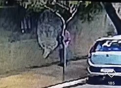 Moradores denunciam homem suspeito de danificar carros no Alto do Cruzeiro, em Arapiraca