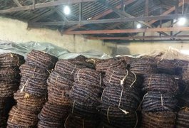 Incêndio atinge galpão usado para armazenar fumo de corda em Limoeiro de Anadia