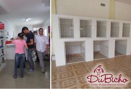 Hotel para animais é opção para quem vai viajar no carnaval