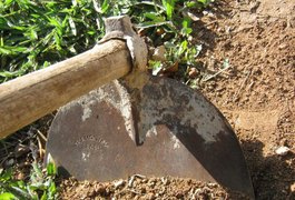 Idoso morre enquanto trabalhava em roça na zona rural de Traipu