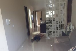 Homem é assassinado dentro de residência ao tentar fugir de atirador, no Sertão alagoano