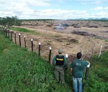 IMA registra aumento de quase 50% nos focos de queimadas anuais em Alagoas