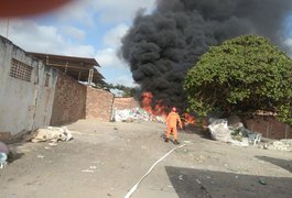 VÍDEO. Galpão de recicláveis em Arapiraca é atingido por incêndio