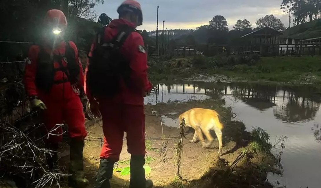 Corpo de criança arrastada por enxurrada é encontrado em rio, confirmam bombeiros