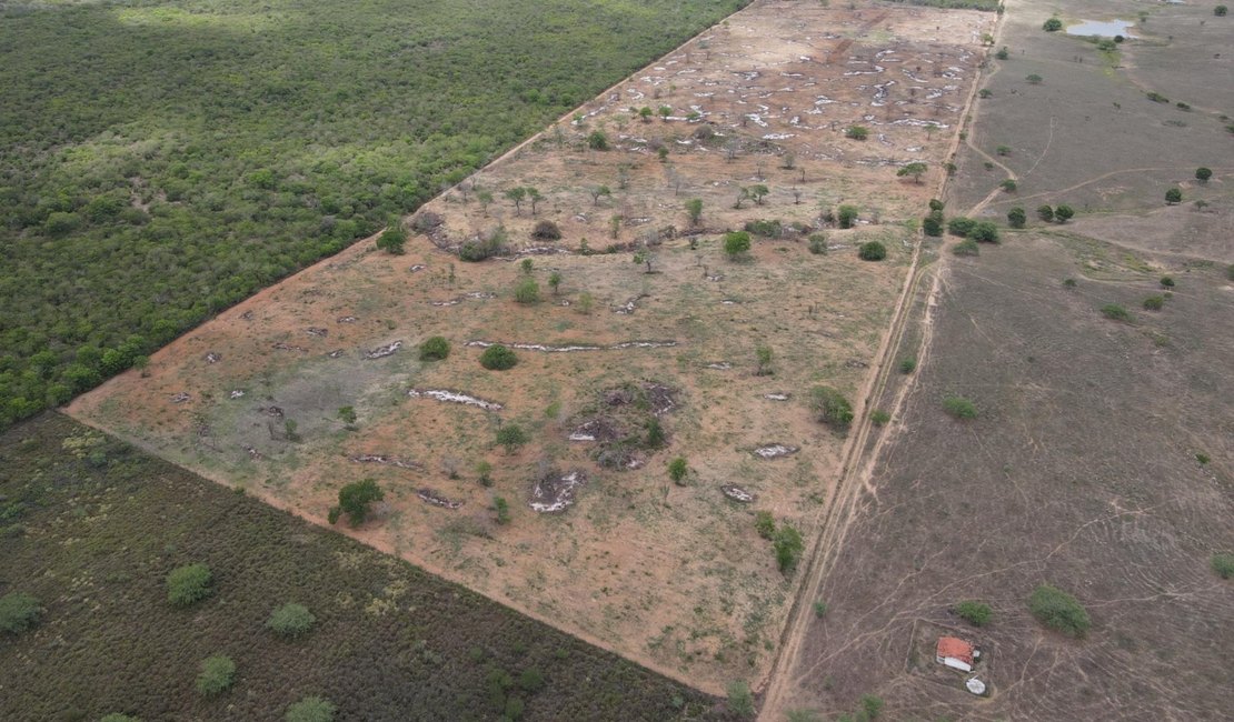 MPAL firma acordos para recuperação de áreas de Caatinga degradadas em Traipu e pagamento de R$ 210 mil em indenizações