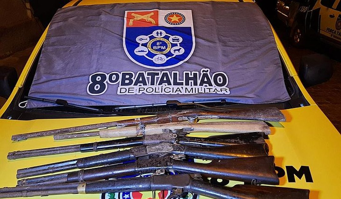 Mulher é presa ao ser flagrada com seis armas e por crime ambiental