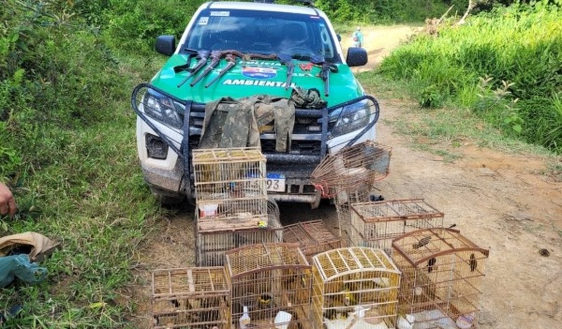 Operação apreende mais de 30 pássaros silvestres em município alagoano
