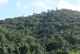 Alagoas se destaca com a recuperação e proteção de áreas