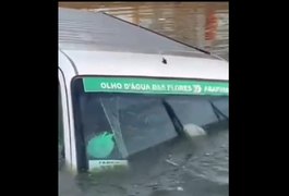 Van que faz linha Olho D'Água das Flores Arapiraca cai em açude após colisão na AL 220