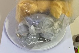 Policiais militares apreendem drogas em abordagem a motociclista em Rio Largo