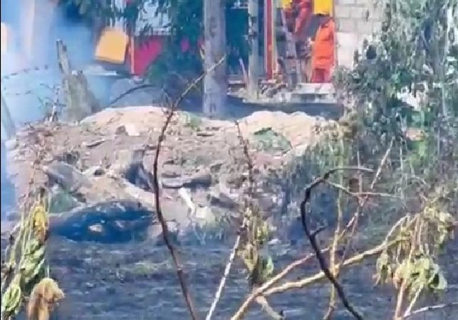 Bombeiros combatem incêndio às margens da AL-220 e evitam que fogo atinja fábrica de carrocerias, em Arapiraca