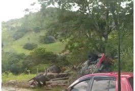 Caminhoneiro morre após capotamento e ficar preso às ferragens no Agreste alagoano