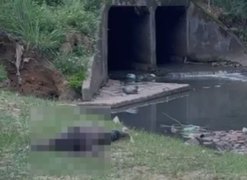 Corpo é encontrado em córrego na região da Grota Pau D’Arco, na Avenida Leste-Oeste