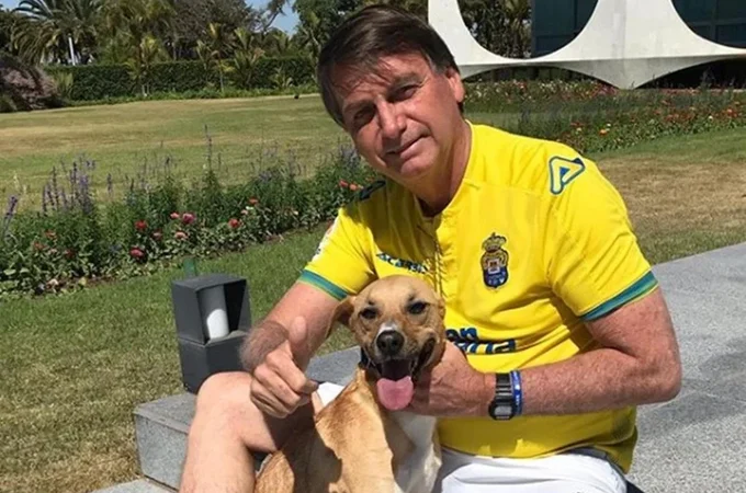 Cães caramelo de Bolsonaro mordem PMs durante guarda de prisão domiciliar