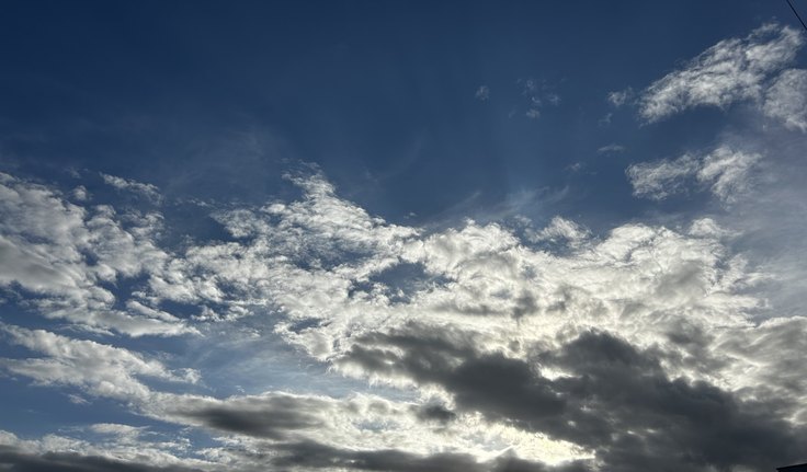 Sobre perder e a noção de eternidade: um tributo a uma grande mulher