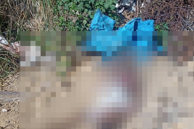 Cadáver com marca de tiro na cabeça é encontrado em terreno baldio em Maceió