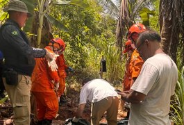 Corpo é encontrado em decomposição em área de mata, em Maceió